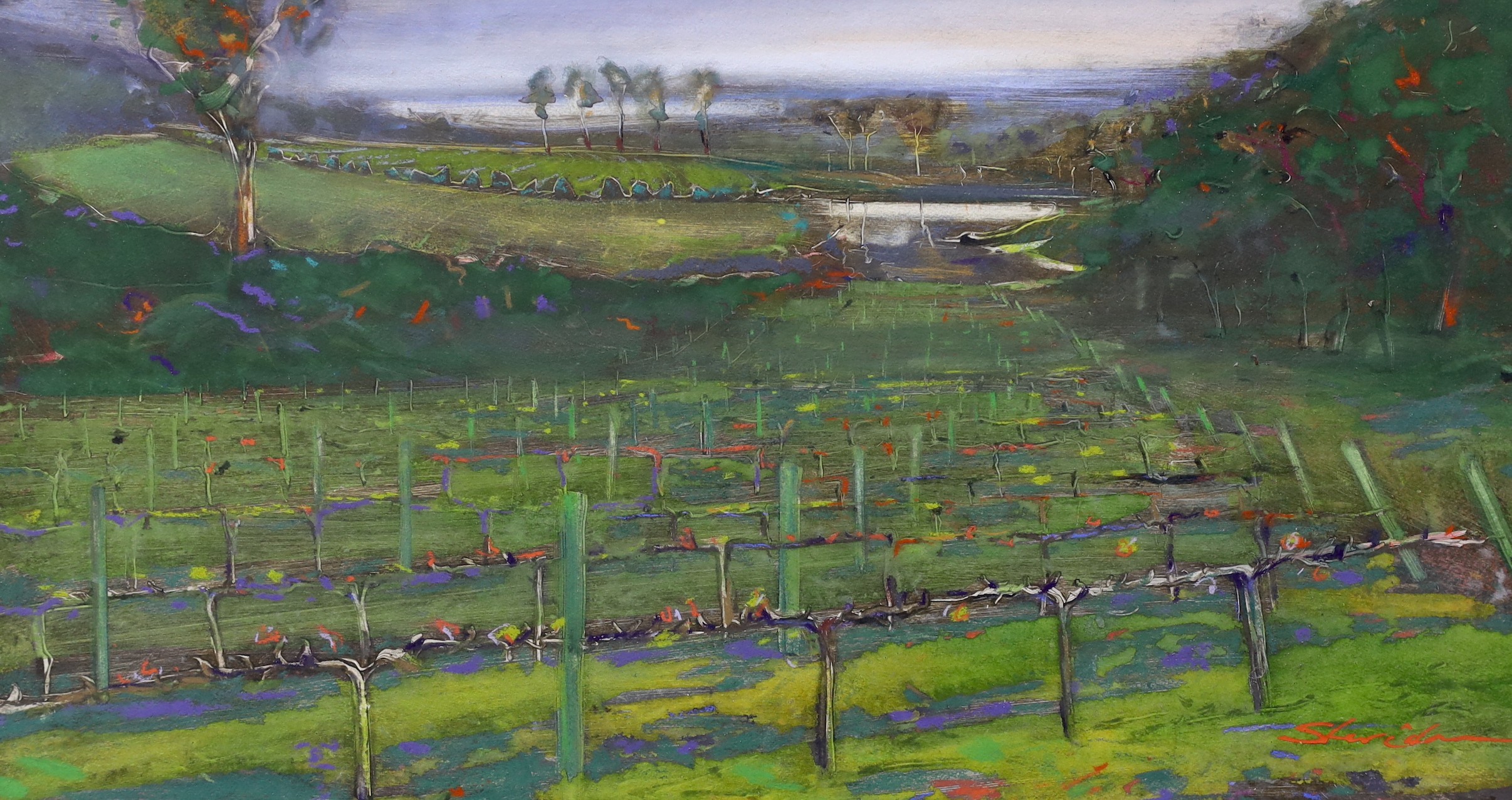 Watercolour, Vineyard landscape, indistinctly signed, 36 x 66cm